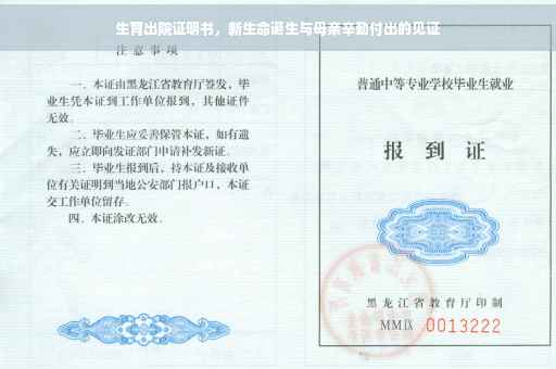 生育出院证明书，新生命诞生与母亲辛勤付出的见证