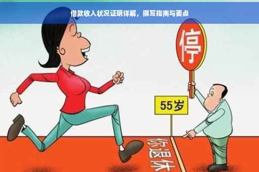 借款收入状况证明详解，撰写指南与要点