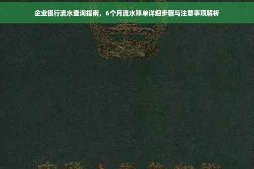 企业银行流水查询指南，6个月流水账单详细步骤与注意事项解析