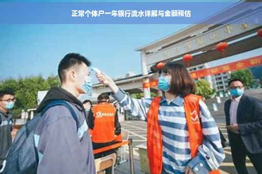 正常个体户一年银行流水详解与金额预估