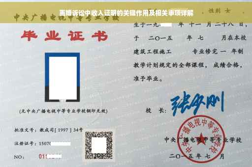 离婚诉讼中收入证明的关键作用及相关事项详解