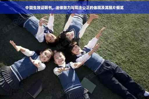 中院生效证明书，法律效力与司法公正的体现及其图片概览