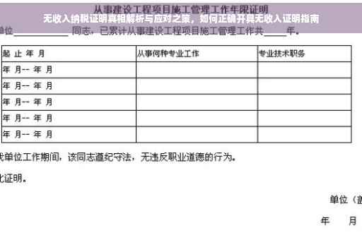 无收入纳税证明真相解析与应对之策，如何正确开具无收入证明指南