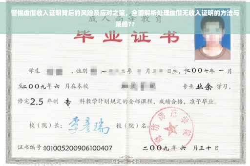 警惕虚假收入证明背后的风险及应对之策，全面解析处理虚假无收入证明的方法与策略??