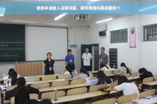 救助申请收入证明详解，撰写指南与要点解析??