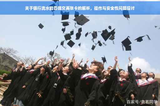 关于银行流水能否提交两张卡的解析，操作与安全性问题探讨