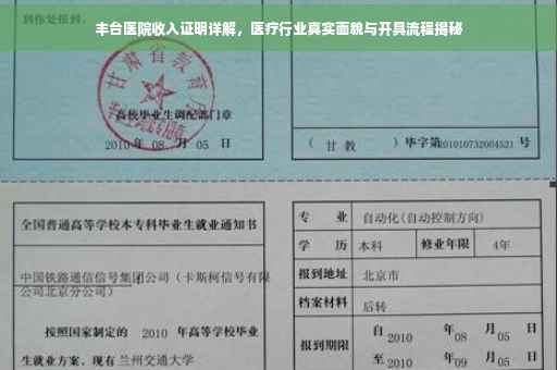 丰台医院收入证明详解,医疗行业真实面貌与开具流程揭秘 丰台医院收入证明详解,医疗行业真实面貌与开具流程揭秘