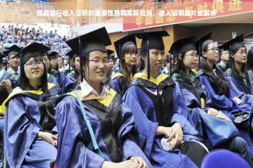 图解银行收入证明的重要性及其实际应用，收入证明图片全解析