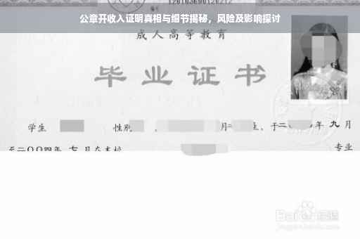 公章开收入证明真相与细节揭秘，风险及影响探讨
