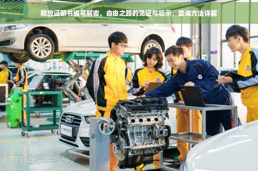 释放证明书编号解密，自由之路的见证与启示，查询方法详解