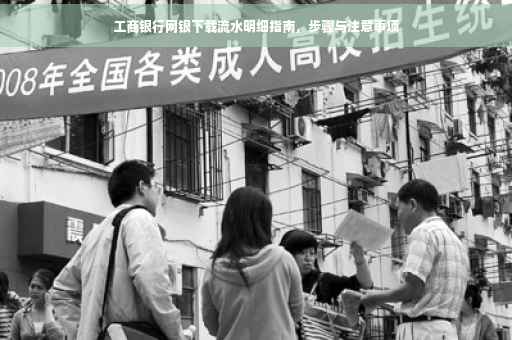 工商银行网银下载流水明细指南，步骤与注意事项