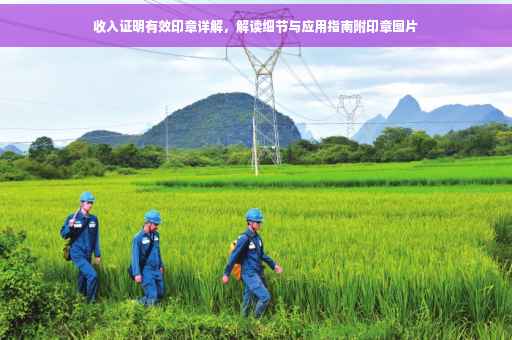 收入证明有效印章详解，解读细节与应用指南附印章图片