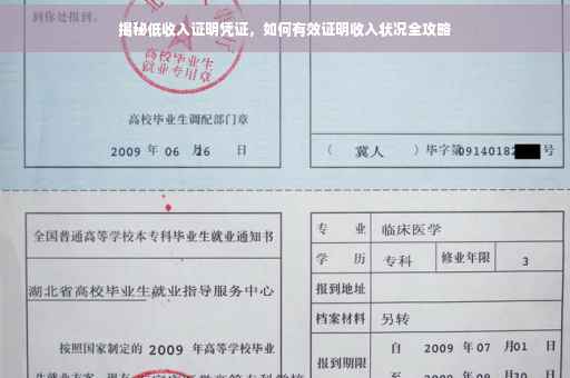 揭秘低收入证明凭证，如何有效证明收入状况全攻略