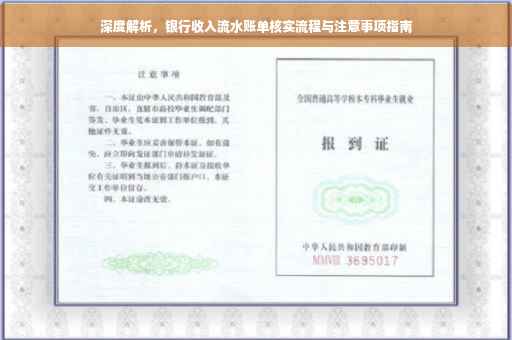深度解析，银行收入流水账单核实流程与注意事项指南