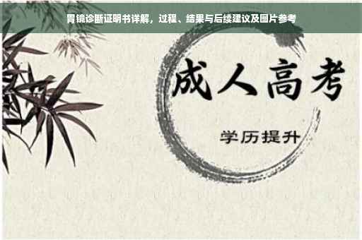 胃镜诊断证明书详解，过程、结果与后续建议及图片参考