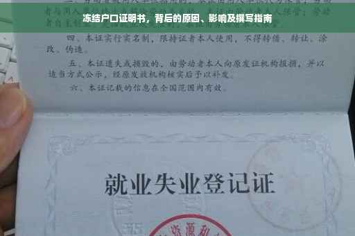 冻结户口证明书，背后的原因、影响及撰写指南