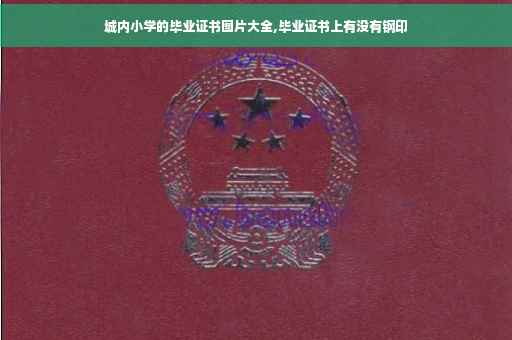 城内小学的毕业证书图片大全,毕业证书上有没有钢印