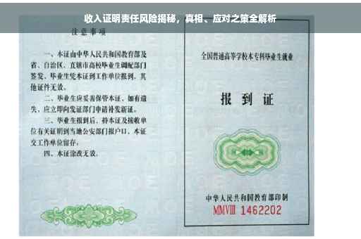 收入证明责任风险揭秘，真相、应对之策全解析