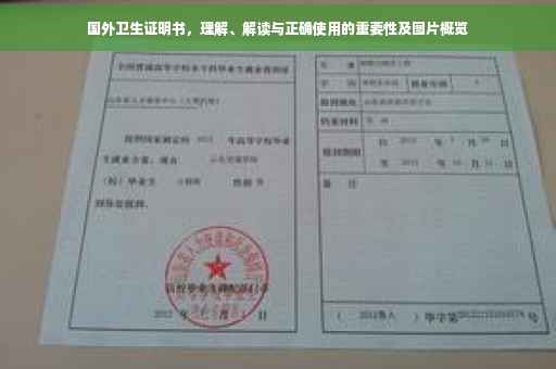 国外卫生证明书，理解、解读与正确使用的重要性及图片概览
