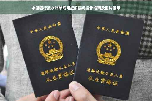中国银行流水账单专用纸解读与操作指南及图片展示