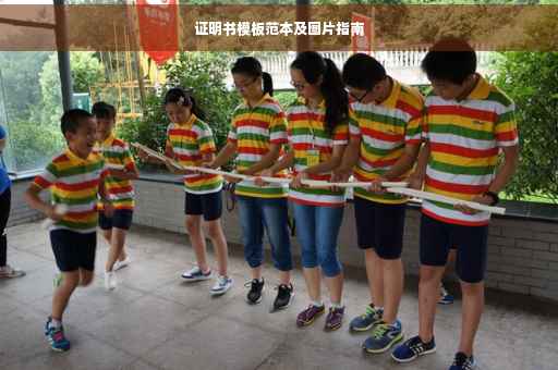 证明书模板范本及图片指南