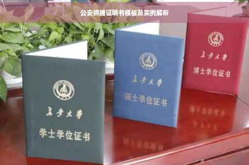 公安抓捕证明书模板及实例解析
