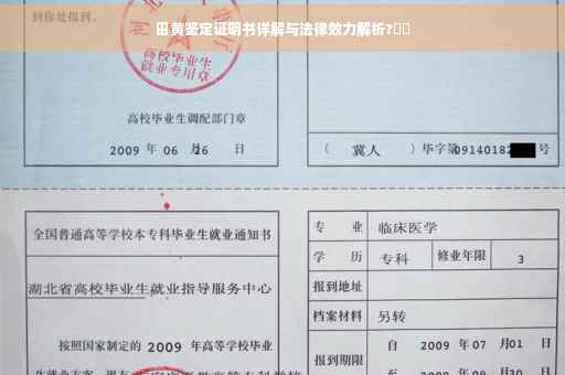 田黄鉴定证明书详解与法律效力解析?⚡️