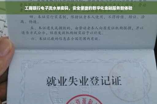工商银行电子流水单密码，安全便捷的数字化金融服务新体验