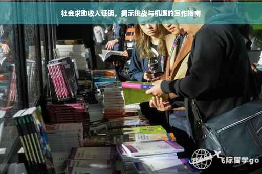 社会求助收入证明，揭示挑战与机遇的写作指南