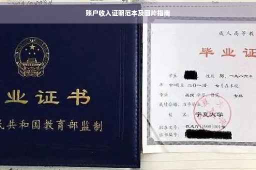 账户收入证明范本及图片指南
