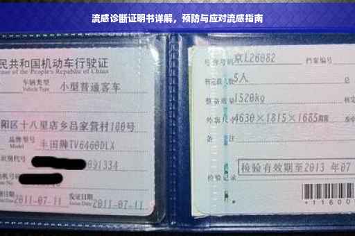 流感诊断证明书详解，预防与应对流感指南