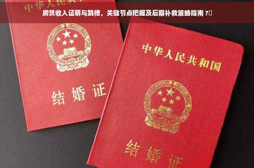 房贷收入证明与跳槽，关键节点把握及后期补救策略指南 ?✨