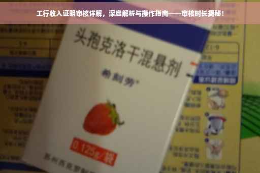 工行收入证明审核详解，深度解析与操作指南——审核时长揭秘！