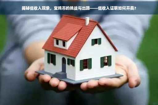 揭秘低收入现象，宝鸡市的挑战与出路——低收入证明如何开具？