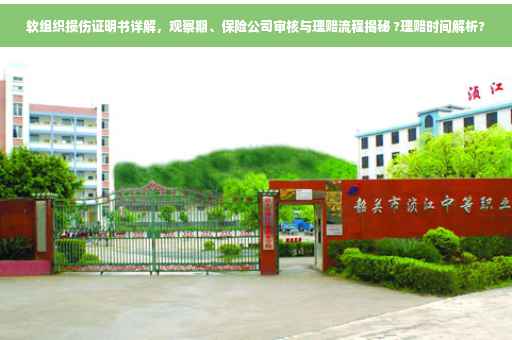 软组织损伤证明书详解，观察期、保险公司审核与理赔流程揭秘 ?理赔时间解析?