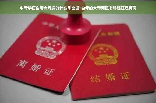 中专学历自考大专发的什么毕业证-自考的大专有证书吗现在还有吗