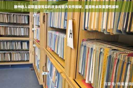 滕州收入证明盖章背后的故事与官方文件揭秘，盖章地点及重要性解析