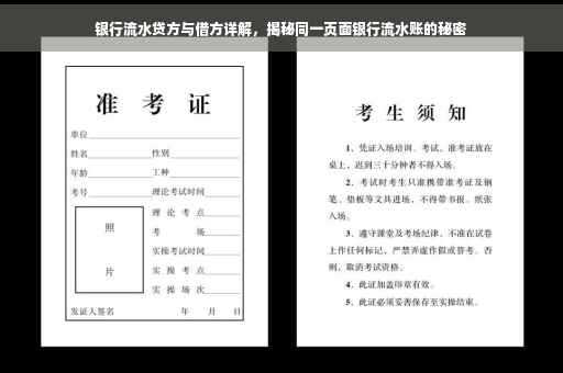 银行流水贷方与借方详解,揭秘同一页面银行流水账的秘密 银行流水贷方与借方详解,揭秘同一页面银行流水账的秘密