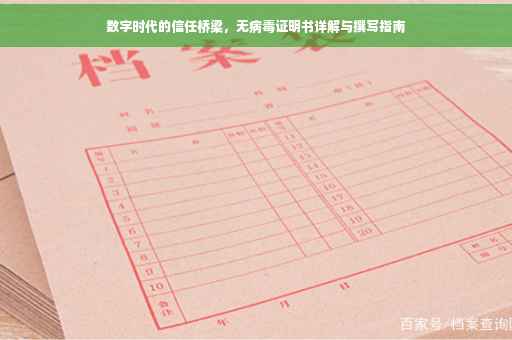 数字时代的信任桥梁，无病毒证明书详解与撰写指南
