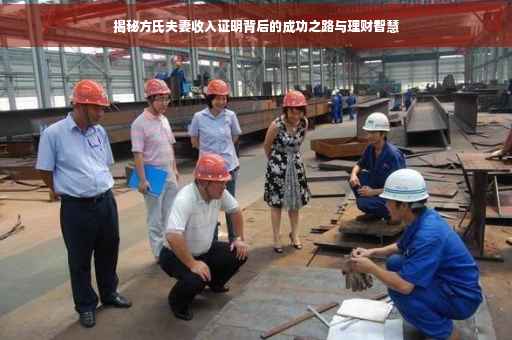揭秘方氏夫妻收入证明背后的成功之路与理财智慧