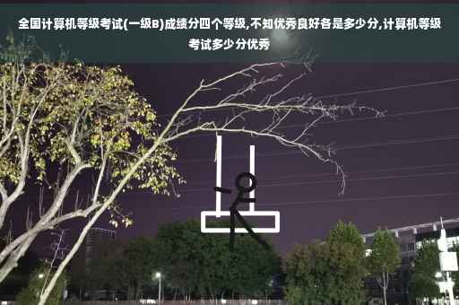 全国计算机等级考试(一级B)成绩分四个等级,不知优秀良好各是多少分,计算机等级考试多少分优秀