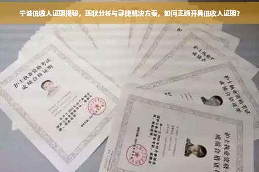 宁波低收入证明揭秘，现状分析与寻找解决方案，如何正确开具低收入证明？