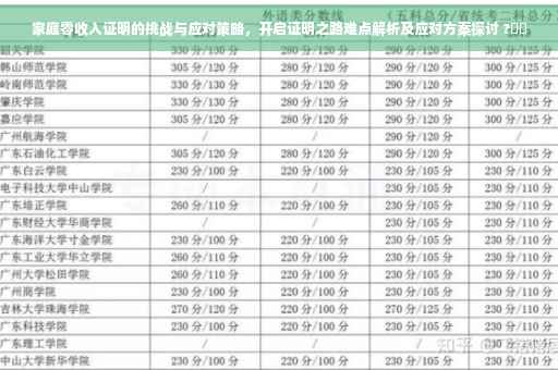 家庭零收入证明的挑战与应对策略，开启证明之路难点解析及应对方案探讨 ?⚡️
