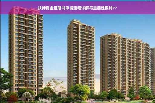 扶持资金证明书申请流程详解与重要性探讨??