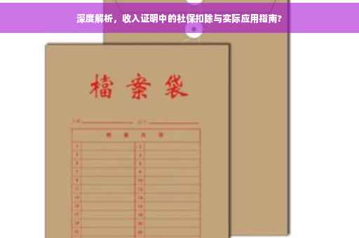 深度解析，收入证明中的社保扣除与实际应用指南?