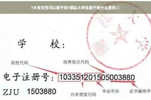 ?大专文凭可以提干吗?部队大学生提干有什么条件⚡️