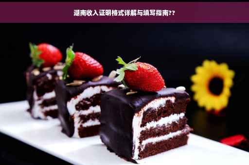 湖南收入证明格式详解与填写指南??