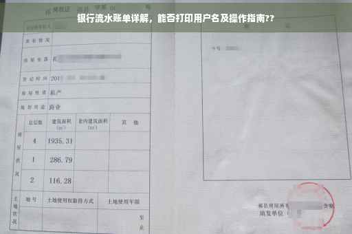 银行流水账单详解，能否打印用户名及操作指南??