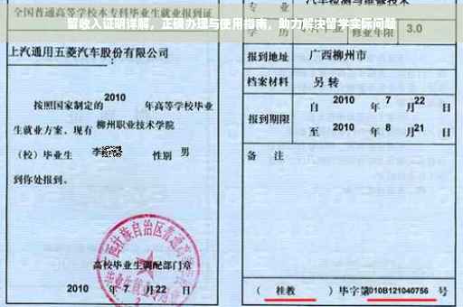 留收入证明详解，正确办理与使用指南，助力解决留学实际问题