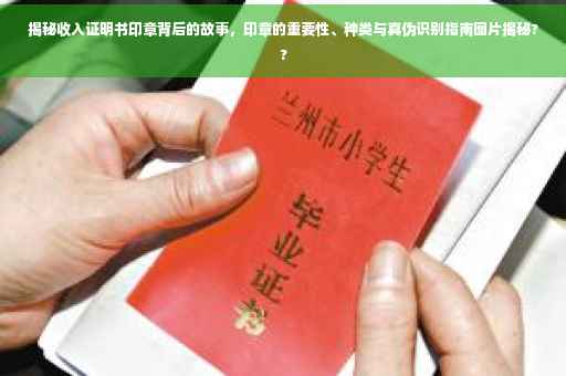 揭秘收入证明书印章背后的故事，印章的重要性、种类与真伪识别指南图片揭秘??
